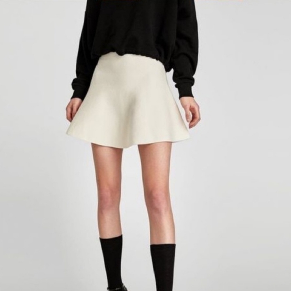 New Zara Skirt